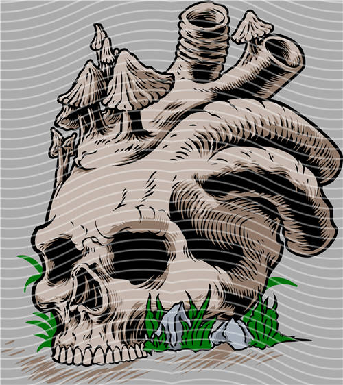 Street design-JT 4373